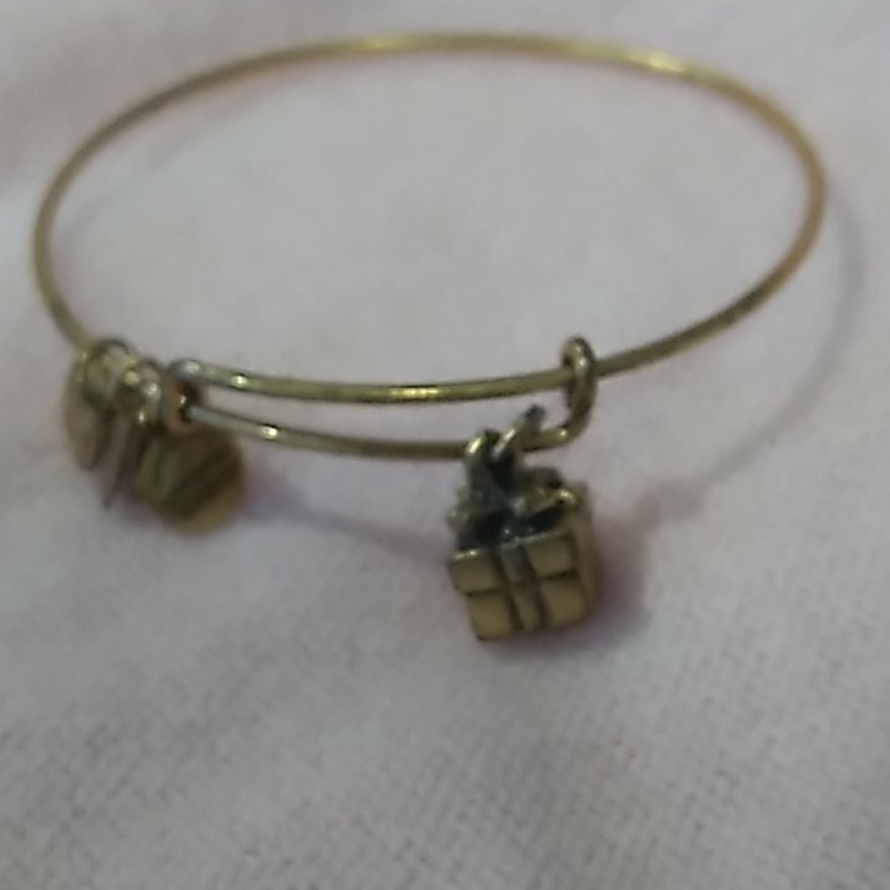 Alex and Ani Present Charm bracelet - Picture 1 of 6